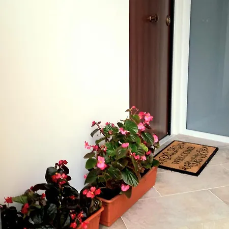 דירה Casa Delle Begonie רומא