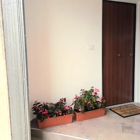 Casa Delle Begonie Apartment Rome